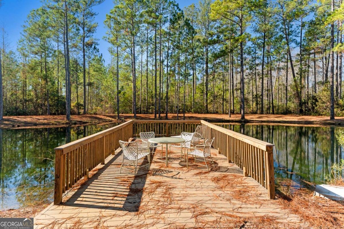 1576 Mt Hope Road Guyton - Photo 33