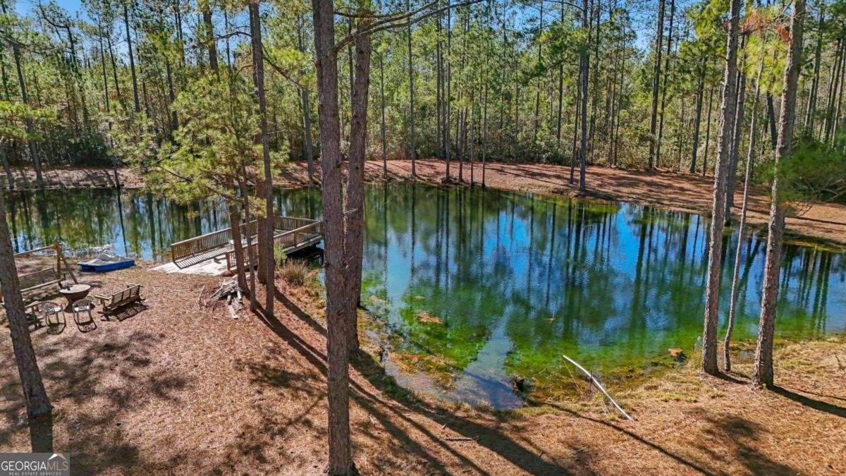 1576 Mt Hope Road Guyton - Photo 34