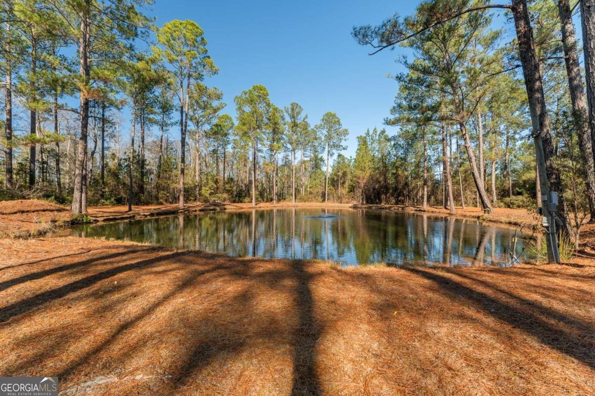 1576 Mt Hope Road Guyton - Photo 35