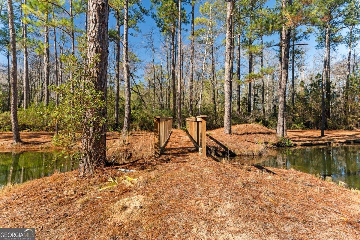 1576 Mt Hope Road Guyton - Photo 36