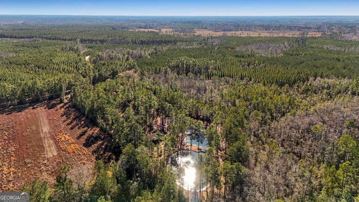 1576 Mt Hope Road Guyton - Photo 39