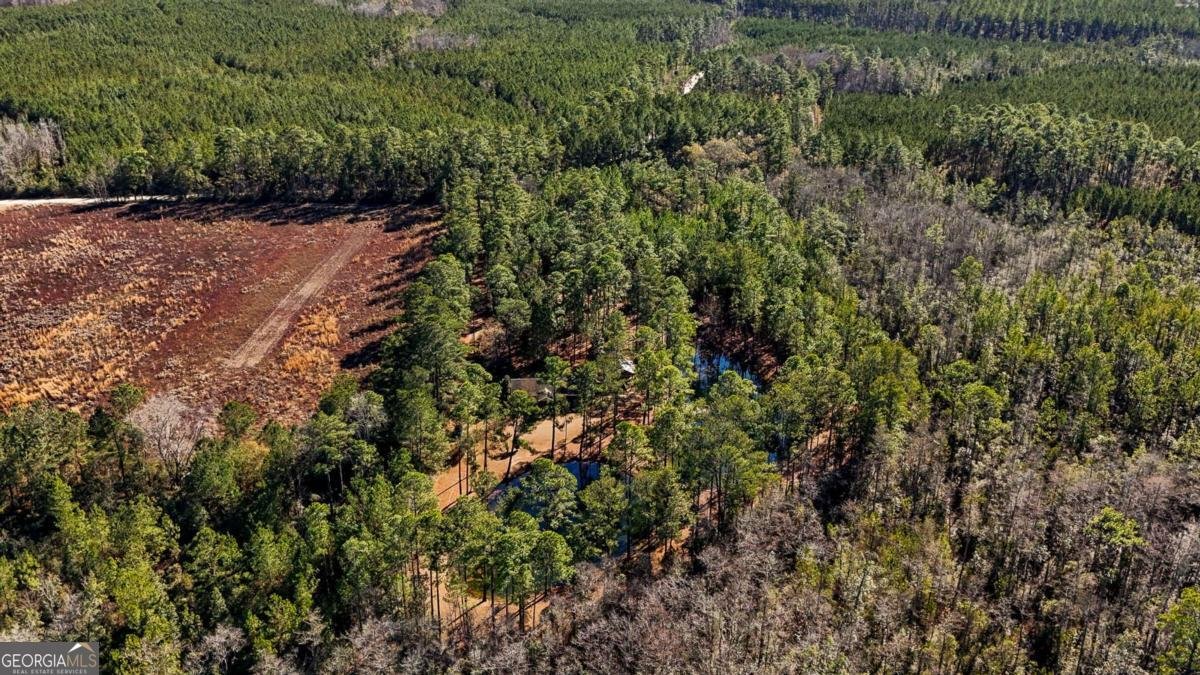 1576 Mt Hope Road Guyton - Photo 40