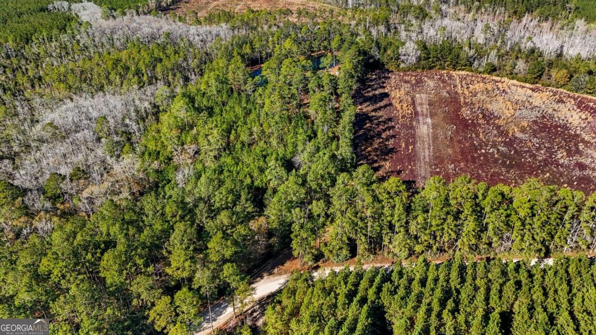 1576 Mt Hope Road Guyton - Photo 41