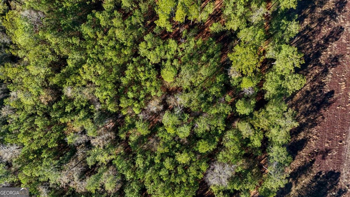 1576 Mt Hope Road Guyton - Photo 42