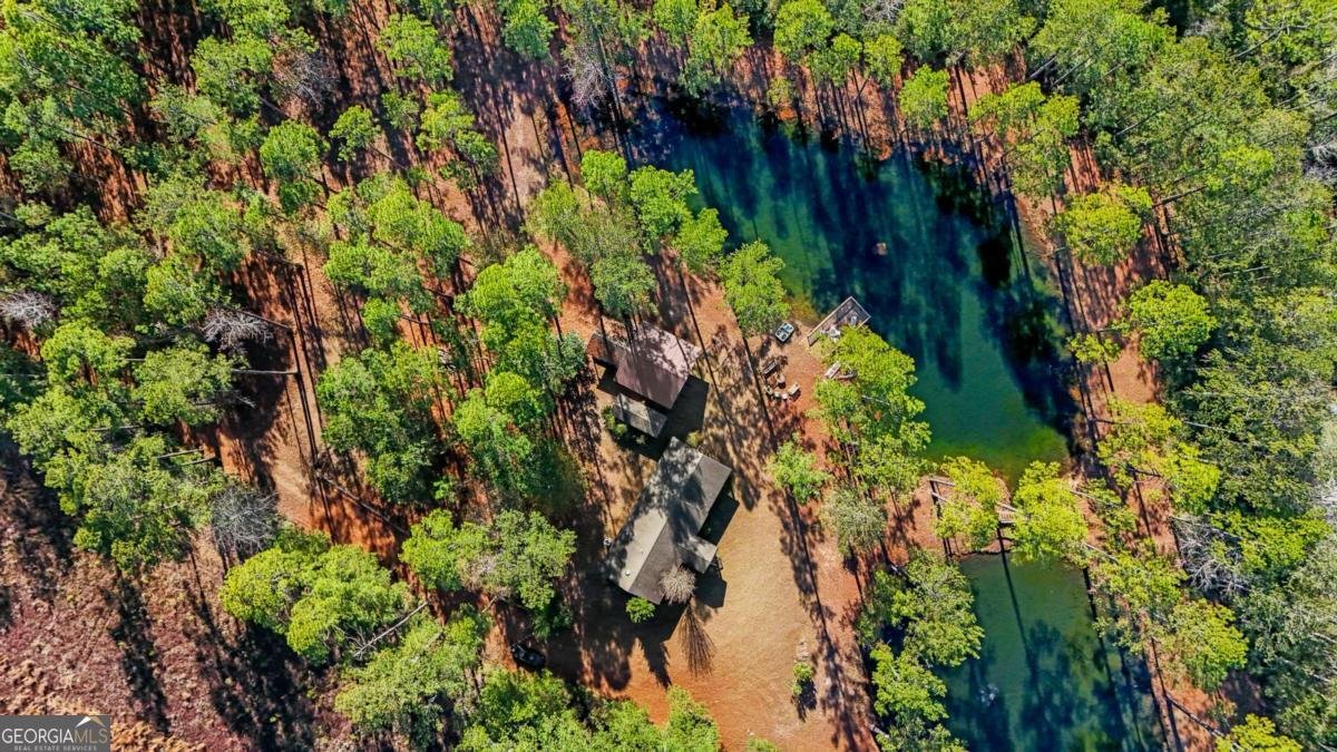 1576 Mt Hope Road Guyton - Photo 43