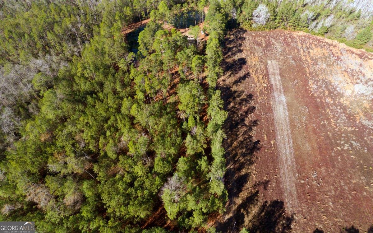 1576 Mt Hope Road Guyton - Photo 44