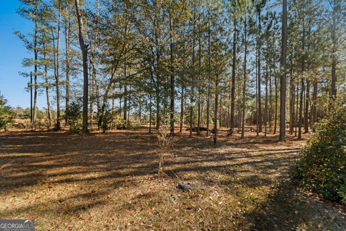 1576 Mt Hope Road Guyton - Photo 45