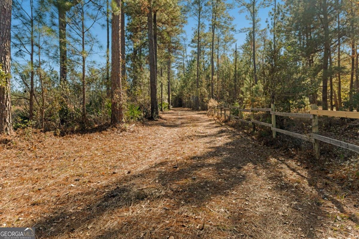 1576 Mt Hope Road Guyton - Photo 46