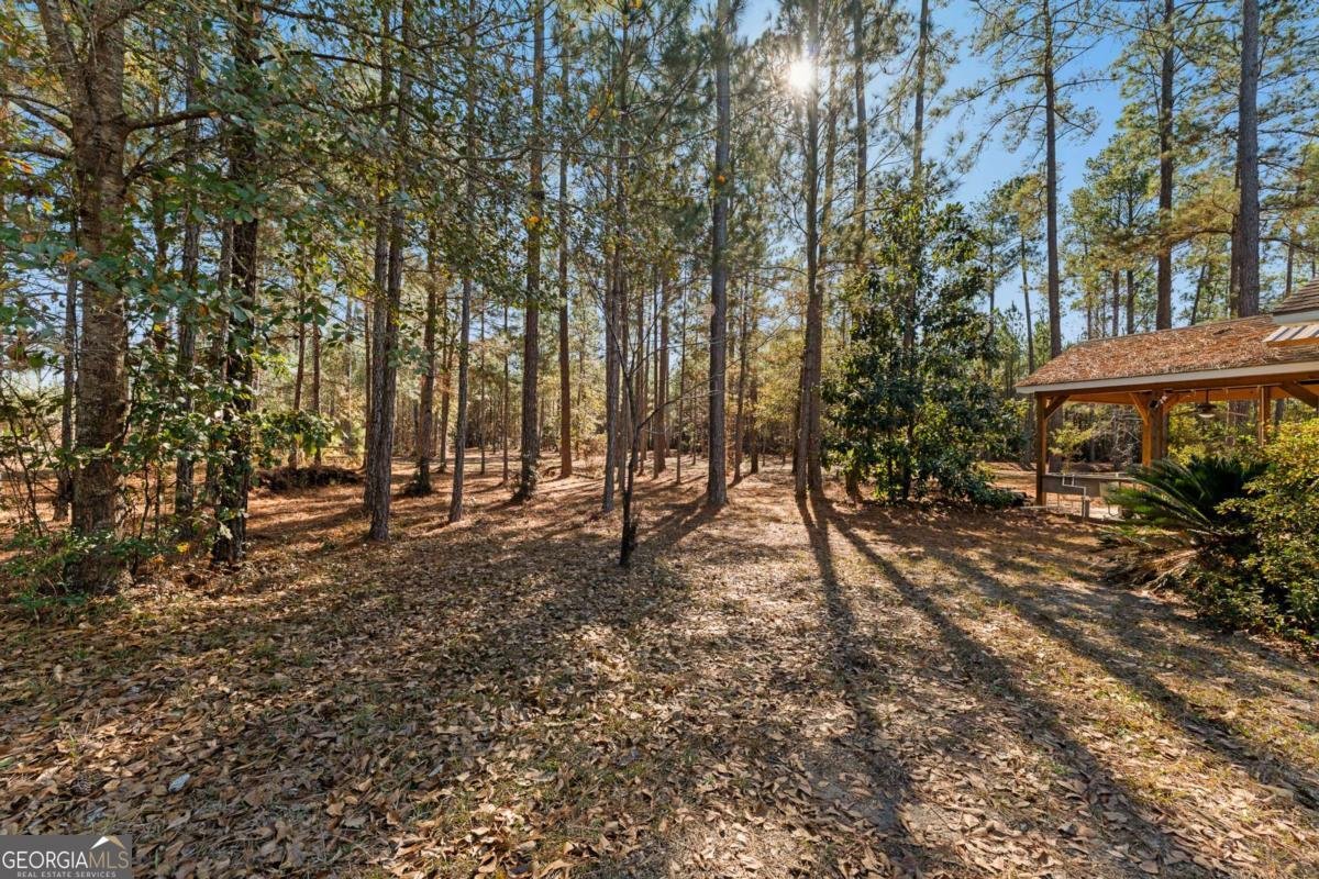 1576 Mt Hope Road Guyton - Photo 9