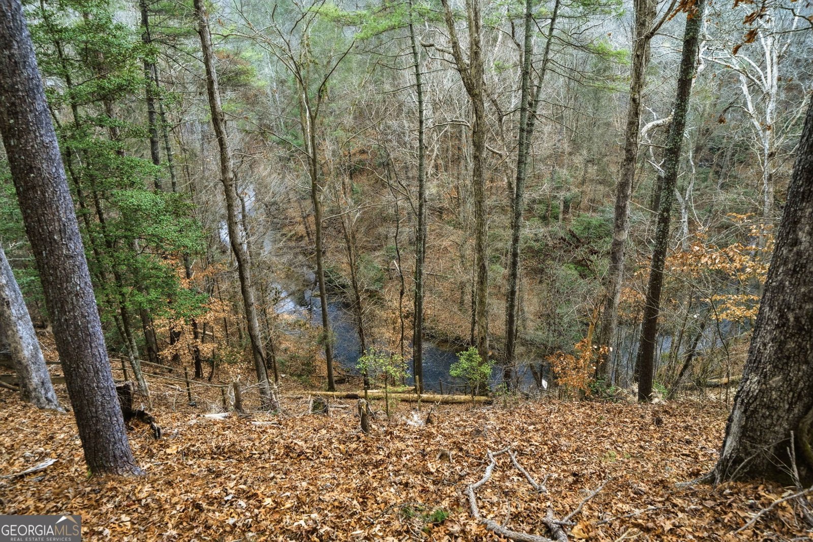 84 Yahoola Shoals Drive Dahlonega - Photo 23