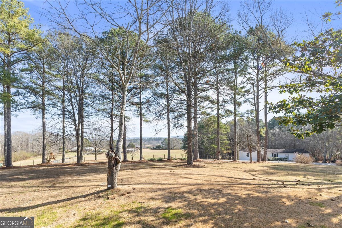 322 Cannon Road LaFayette - Photo 23