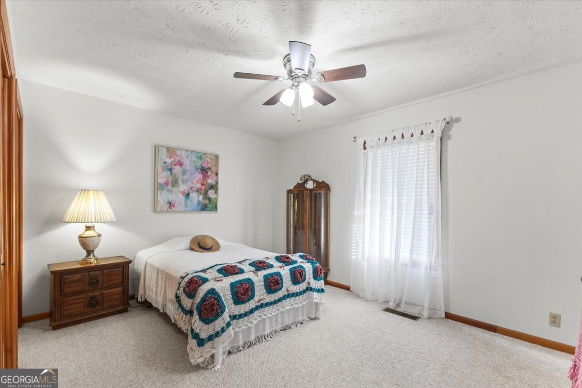 322 Cannon Road LaFayette - Photo 41