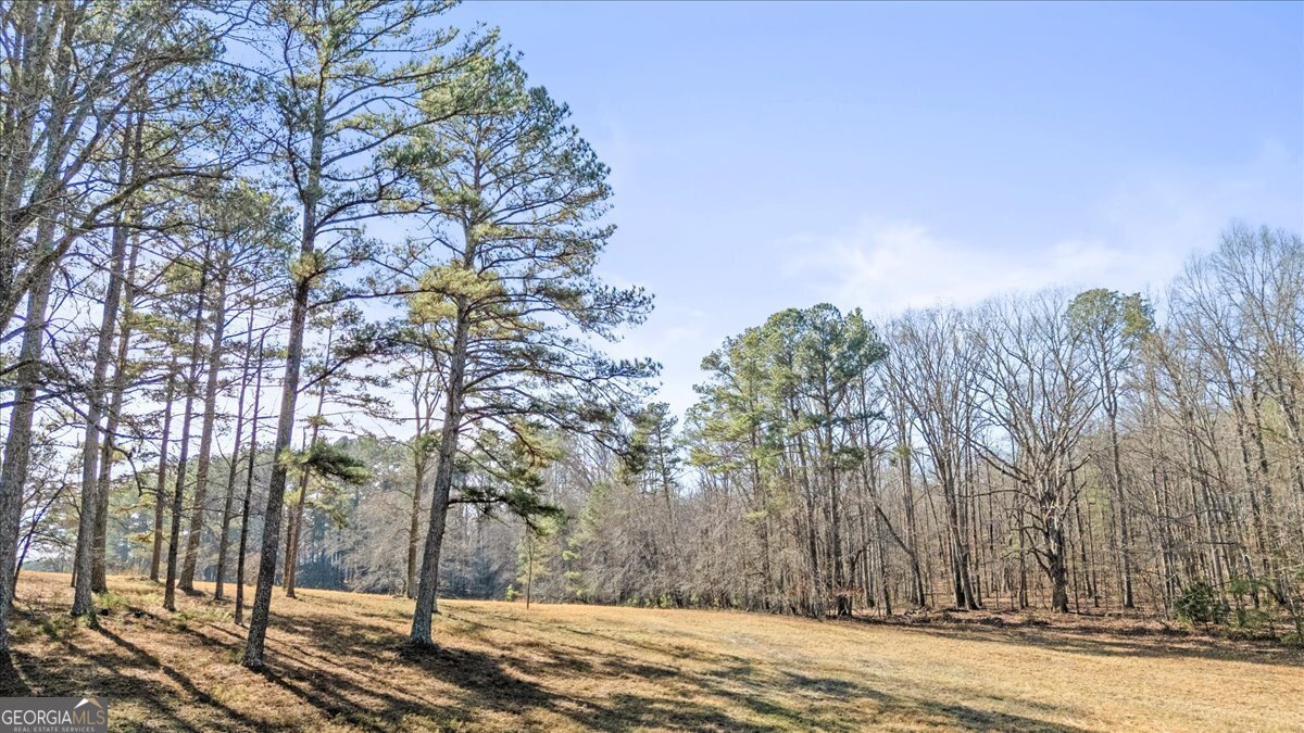 322 Cannon Road LaFayette - Photo 67