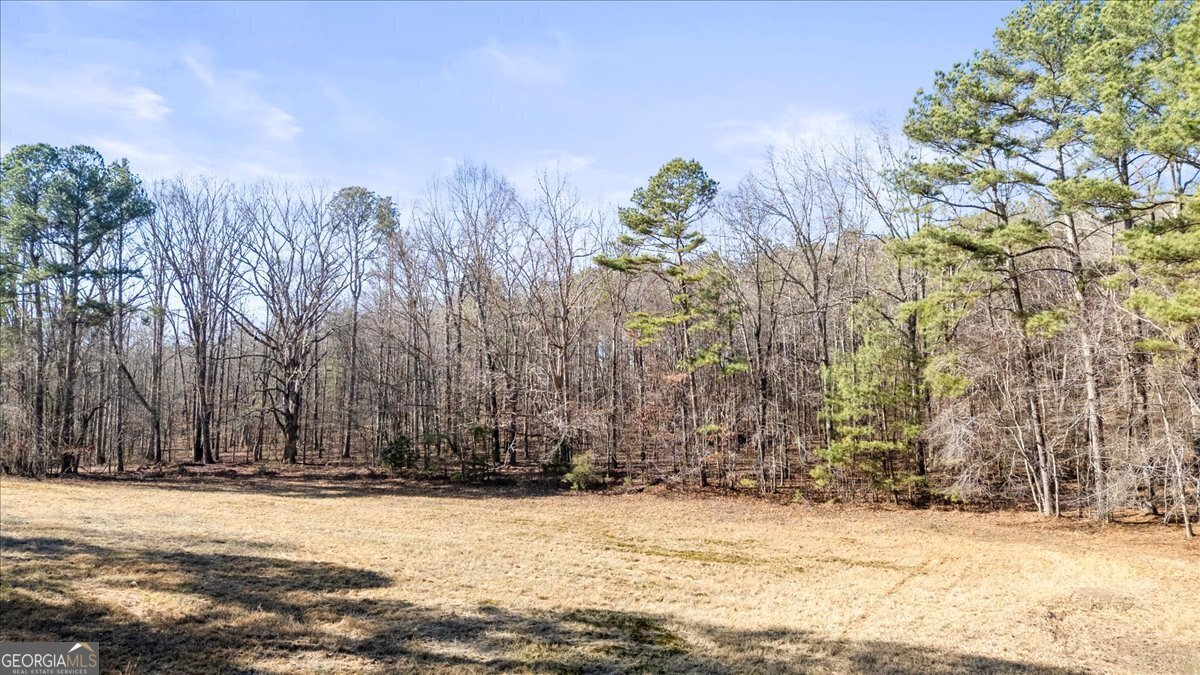 322 Cannon Road LaFayette - Photo 68