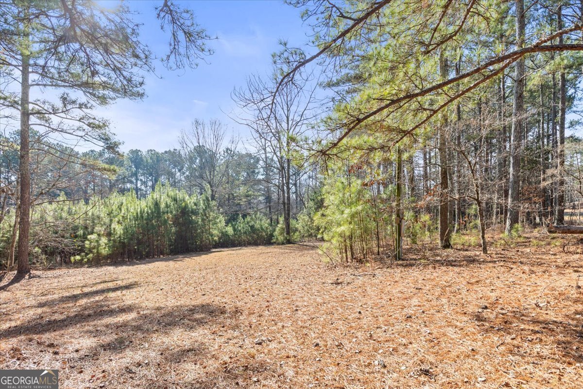 322 Cannon Road LaFayette - Photo 70