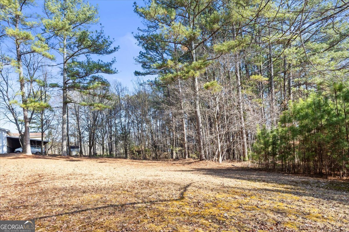 322 Cannon Road LaFayette - Photo 72