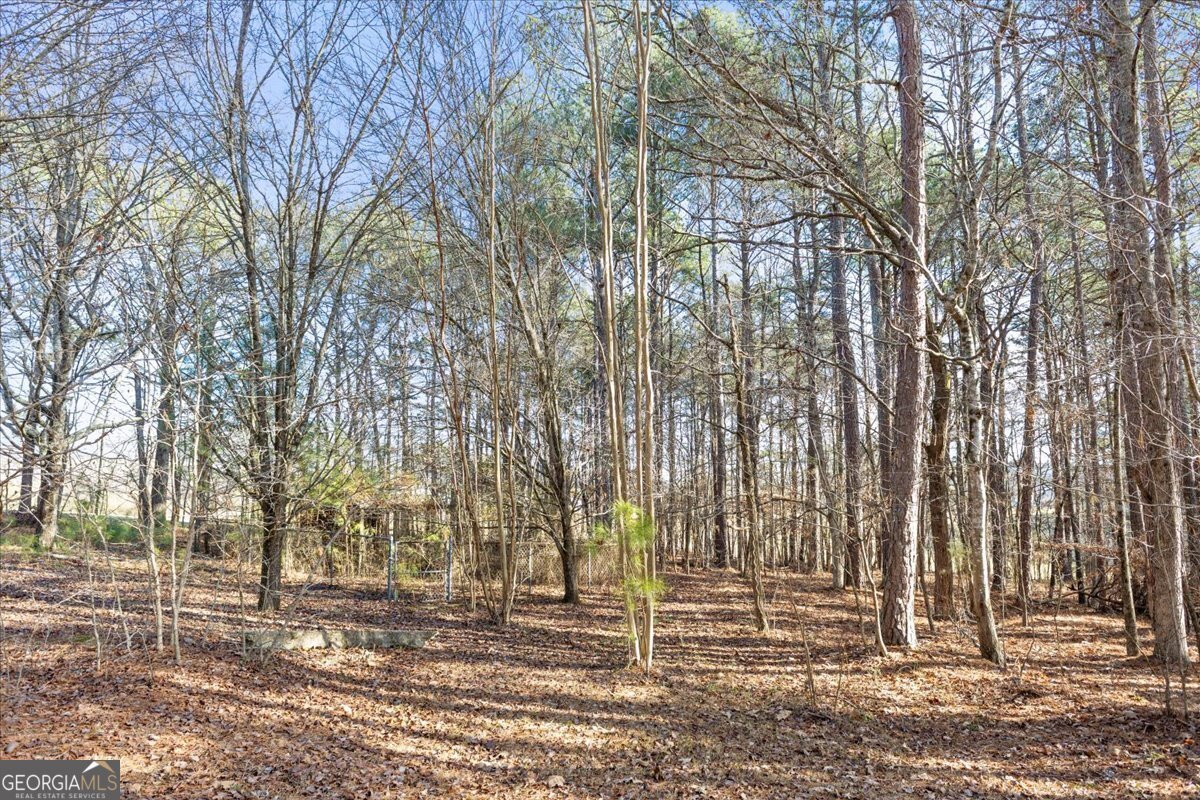 322 Cannon Road LaFayette - Photo 73