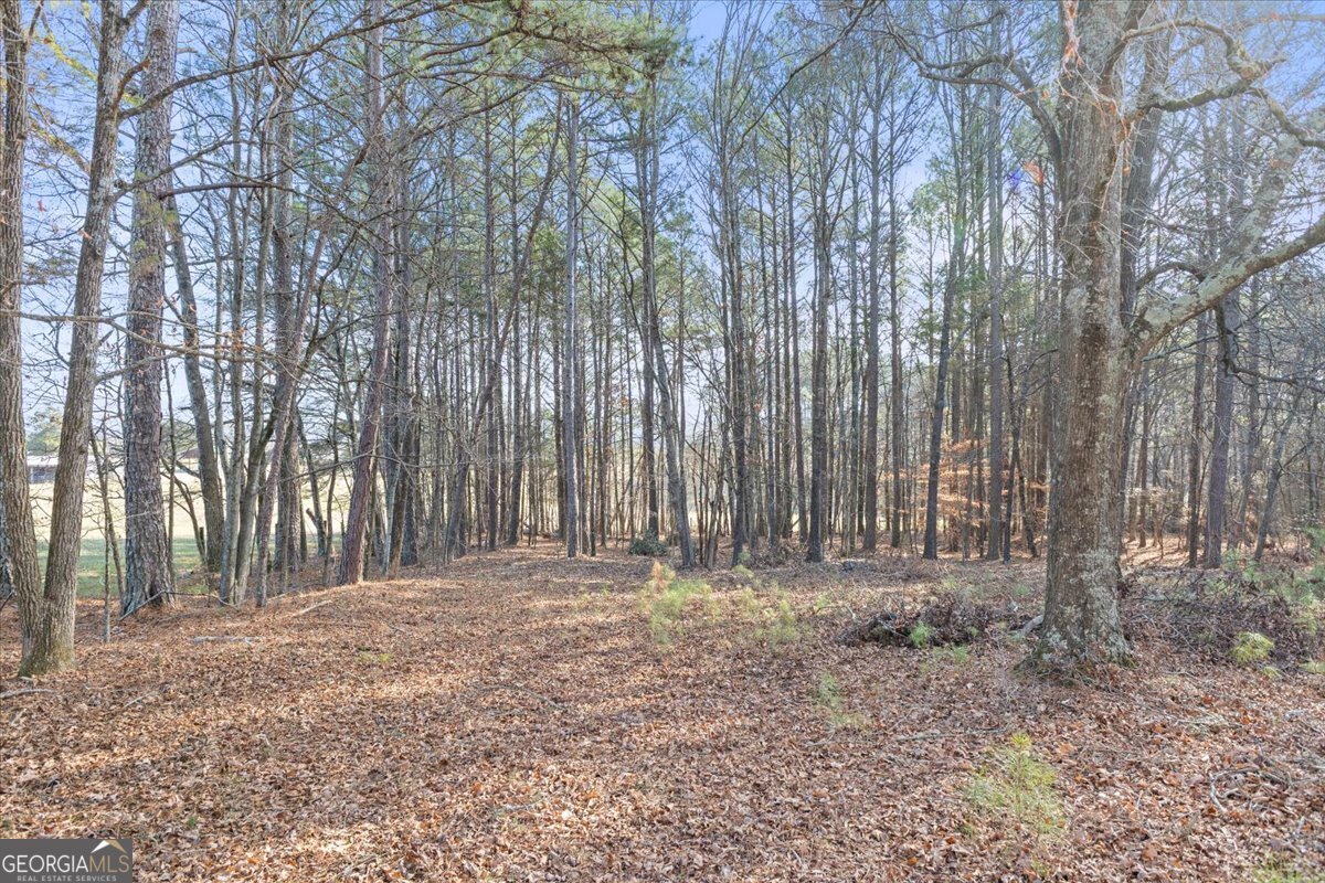 322 Cannon Road LaFayette - Photo 74