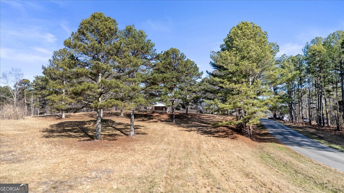 322 Cannon Road LaFayette - Photo 9