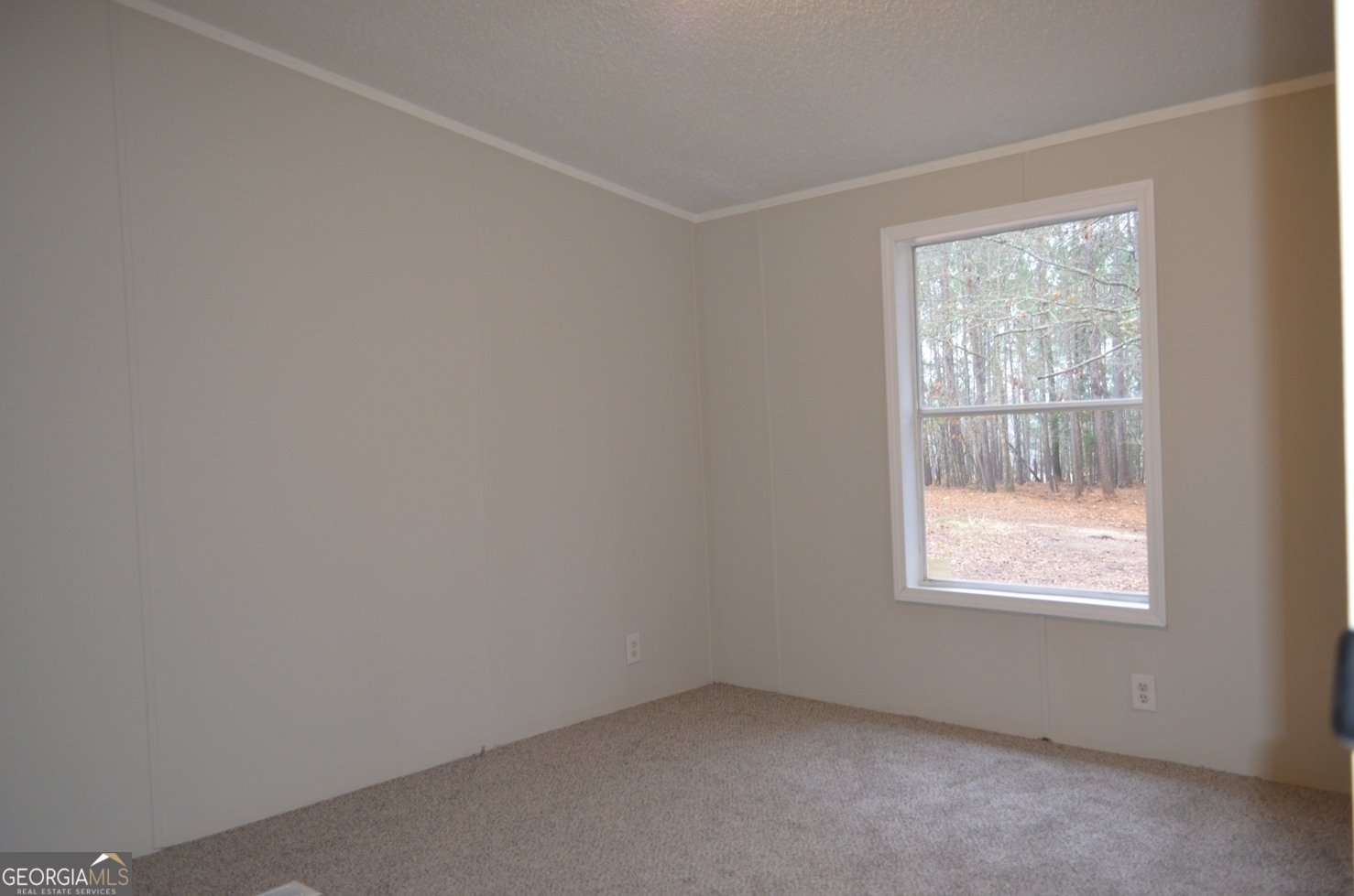 1048 Lee King Road Forsyth - Photo 13