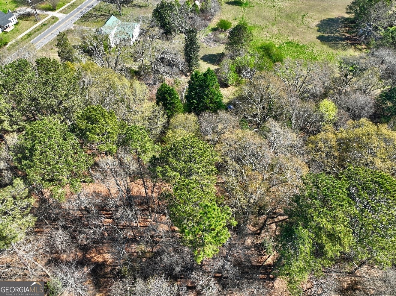 205 Highway 186 Good Hope - Photo 26