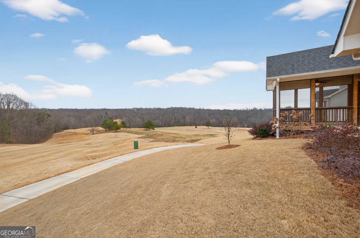 143 Preserve Lane Homer - Photo 51