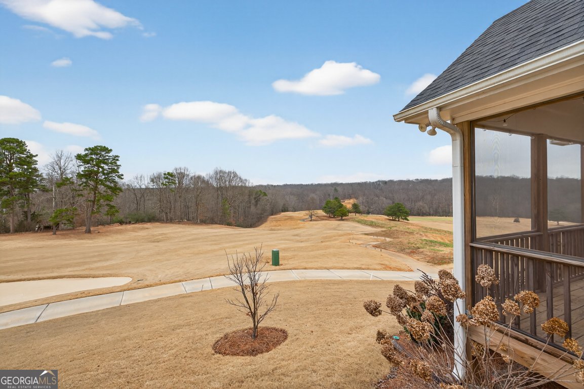 143 Preserve Lane Homer - Photo 52