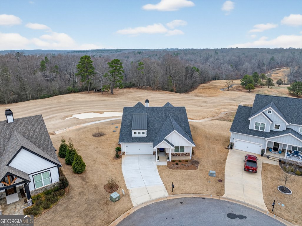 143 Preserve Lane Homer - Photo 53