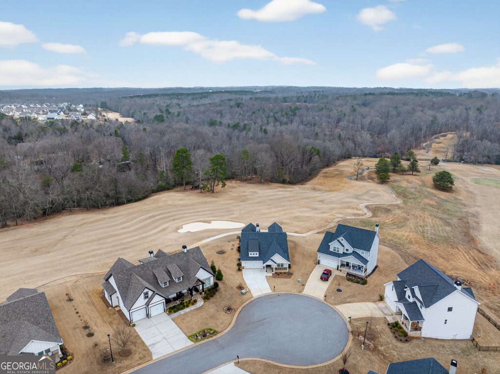 143 Preserve Lane Homer - Photo 54