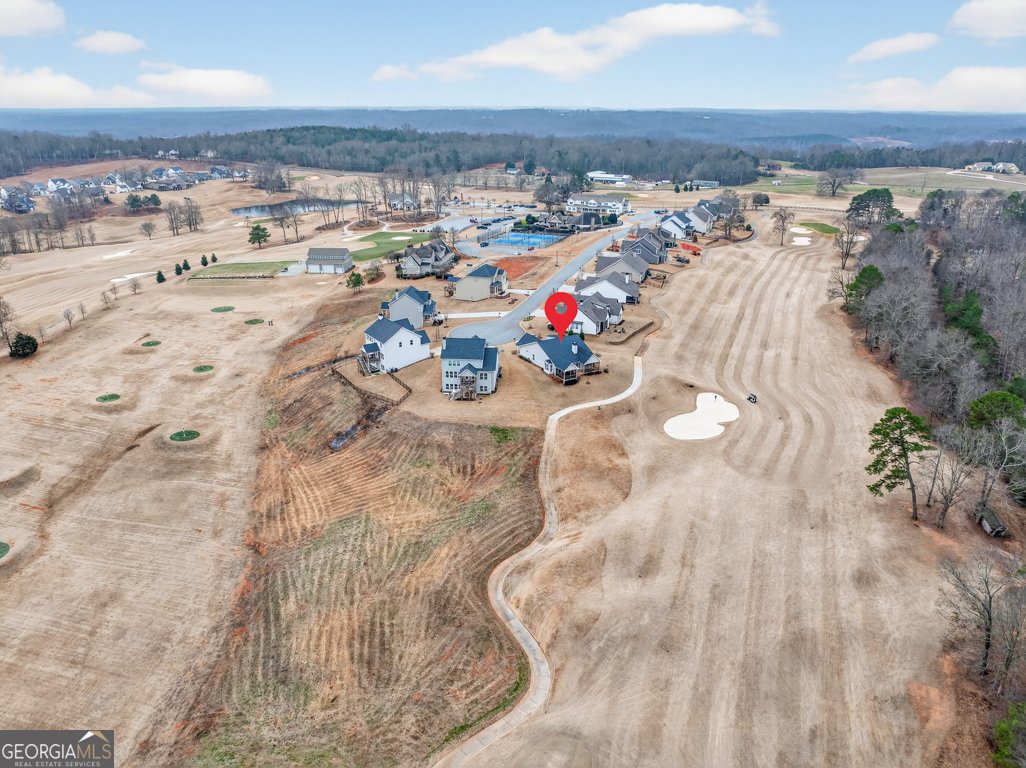 143 Preserve Lane Homer - Photo 58