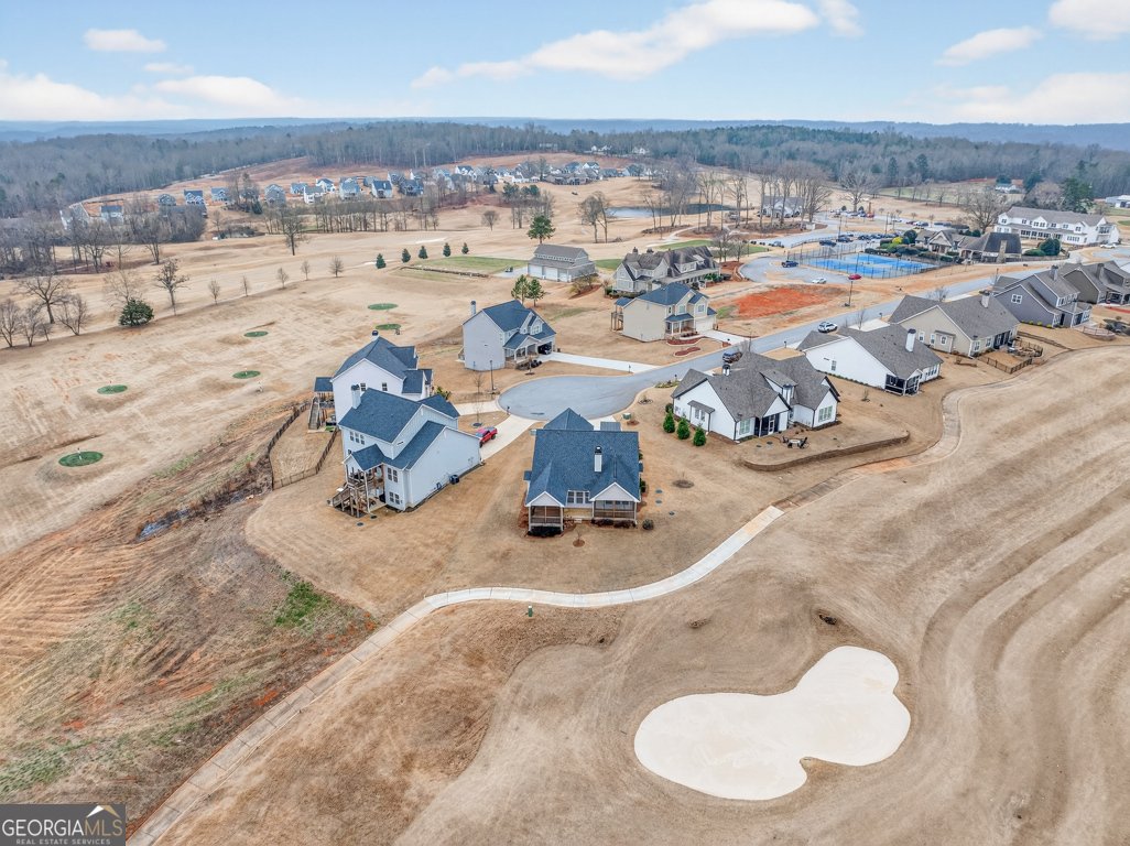 143 Preserve Lane Homer - Photo 59