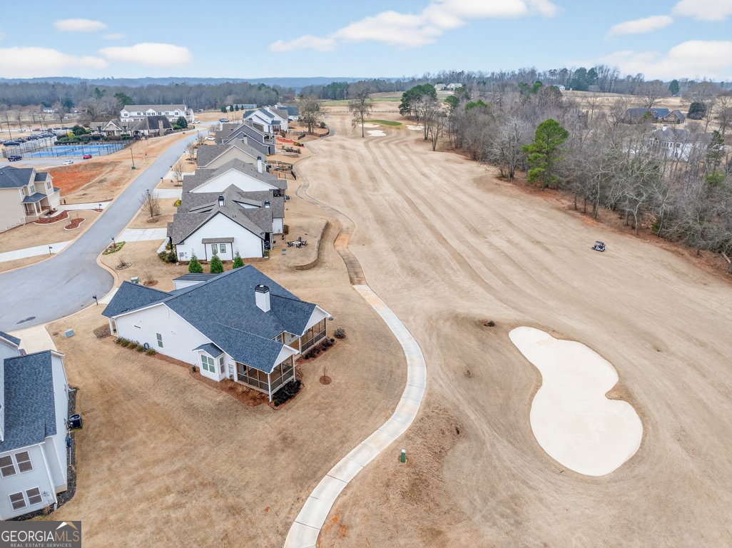 143 Preserve Lane Homer - Photo 60