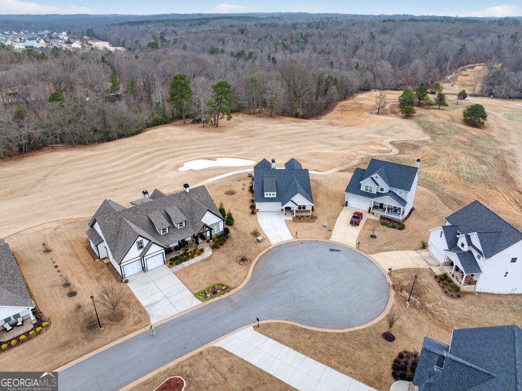 143 Preserve Lane Homer - Photo 61