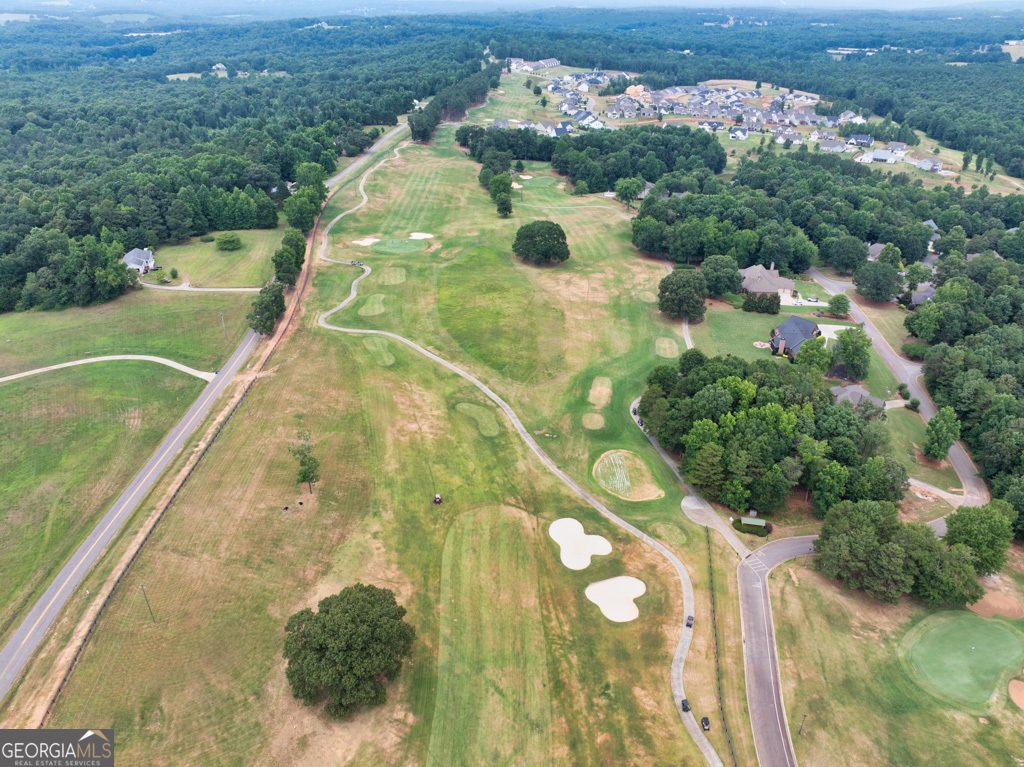 143 Preserve Lane Homer - Photo 75