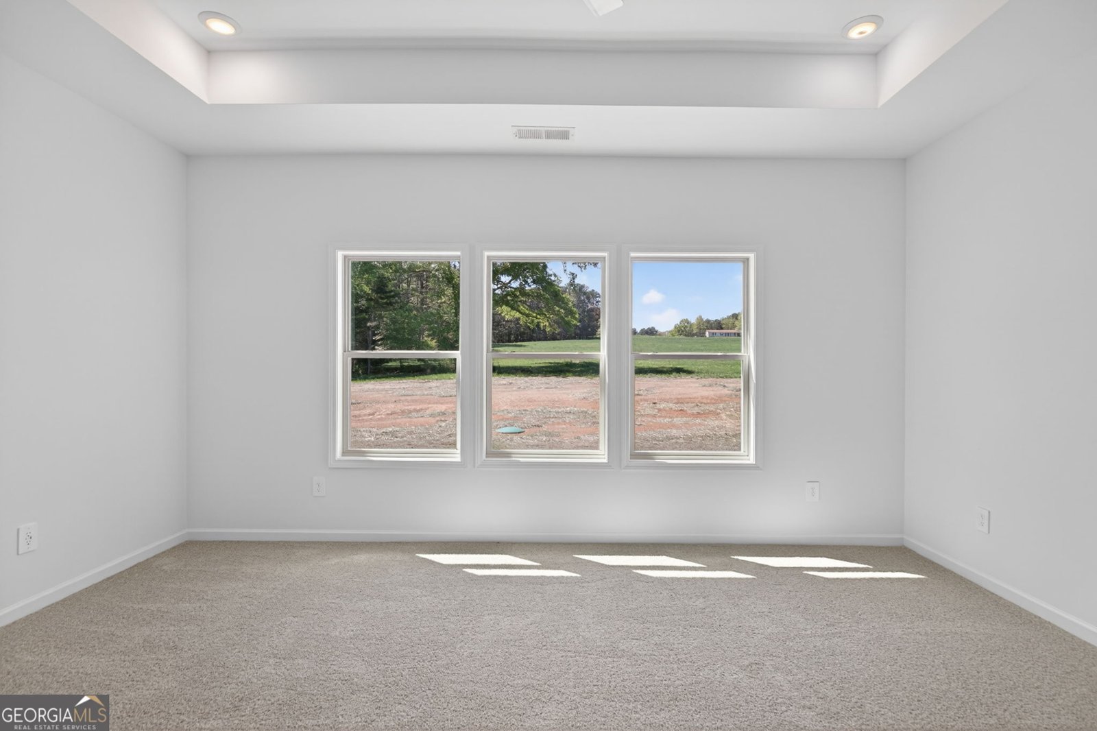 65 Unity Road Roopville - Photo 29