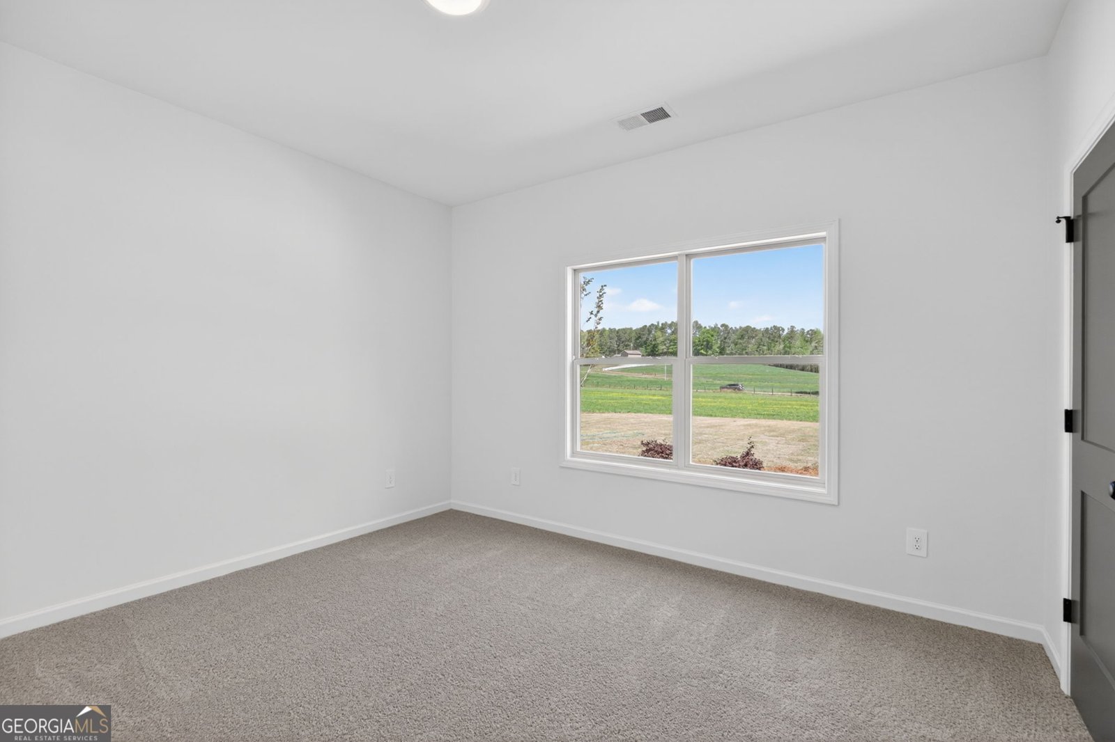 65 Unity Road Roopville - Photo 34