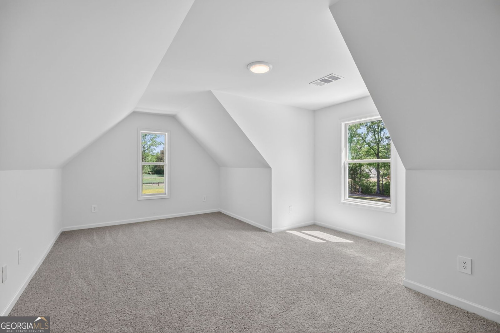 65 Unity Road Roopville - Photo 39