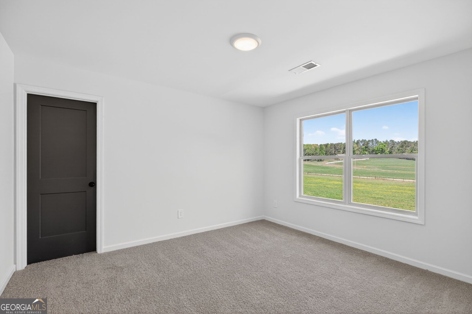 65 Unity Road Roopville - Photo 41