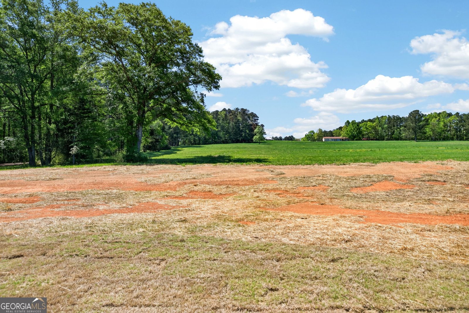 65 Unity Road Roopville - Photo 44