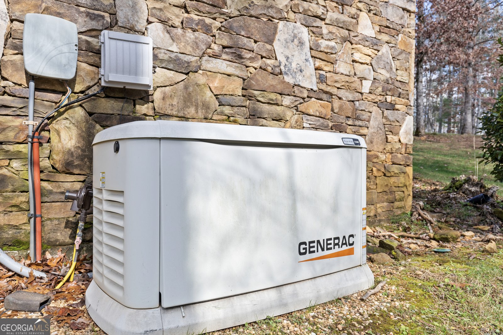 98 Saddleback Trail Blue Ridge - Photo 49