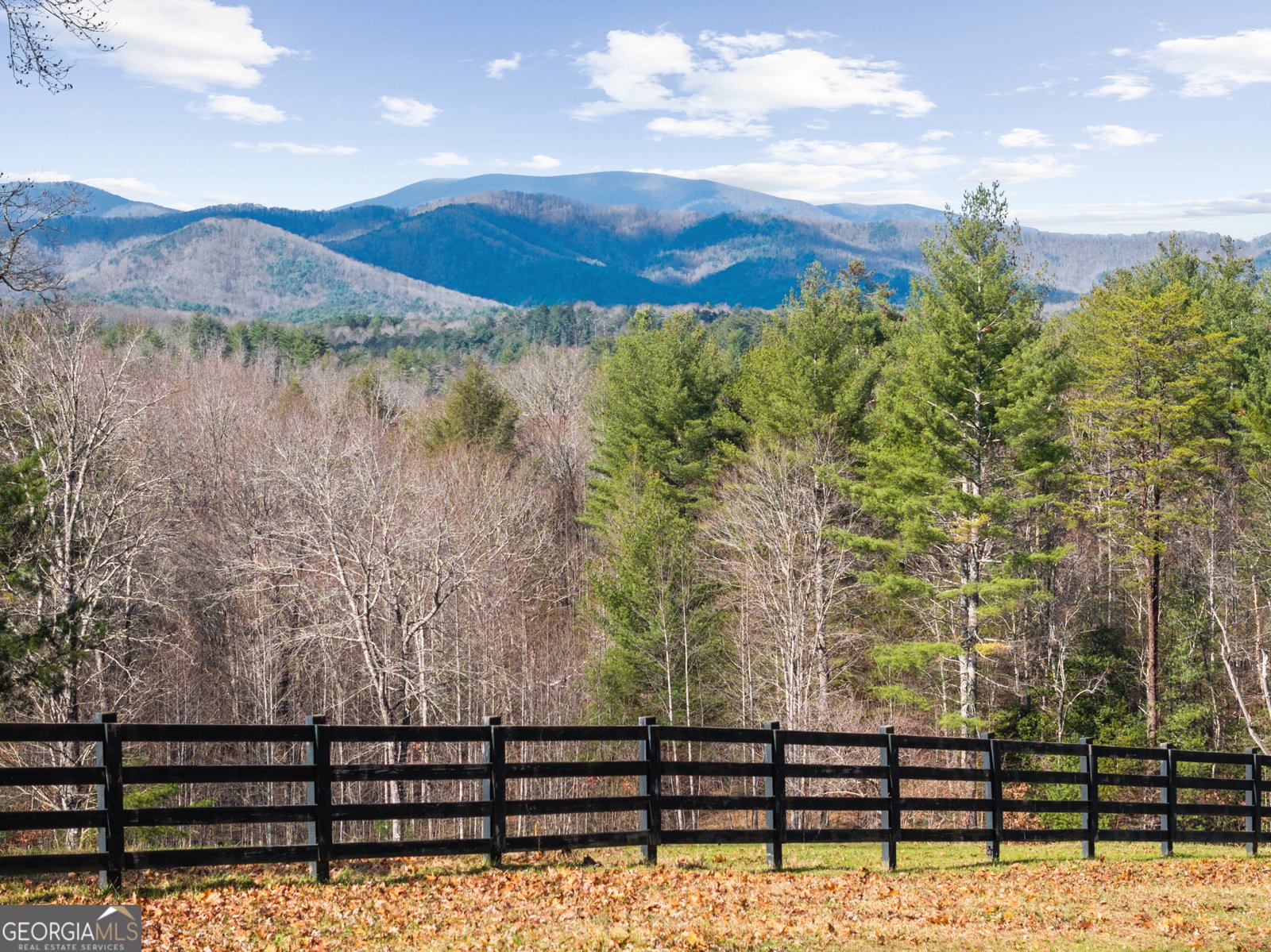 98 Saddleback Trail Blue Ridge - Photo 59