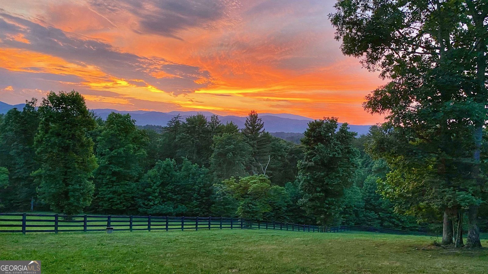 98 Saddleback Trail Blue Ridge - Photo 63