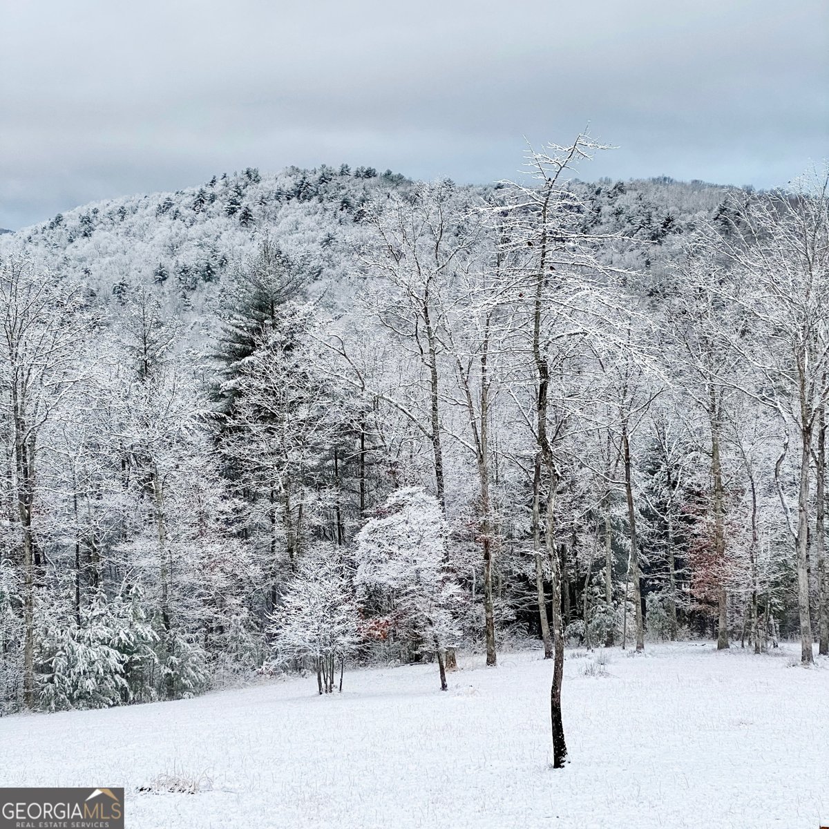 98 Saddleback Trail Blue Ridge - Photo 68