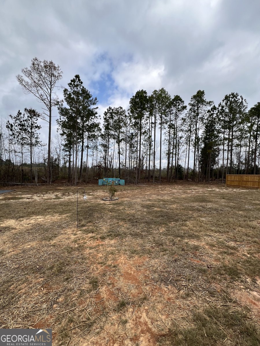 150 Long Pines Circle East Dublin - Photo 32