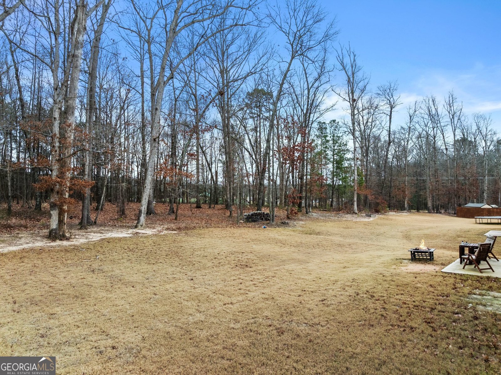 579 Azalea Bloom Drive Loganville - Photo 49