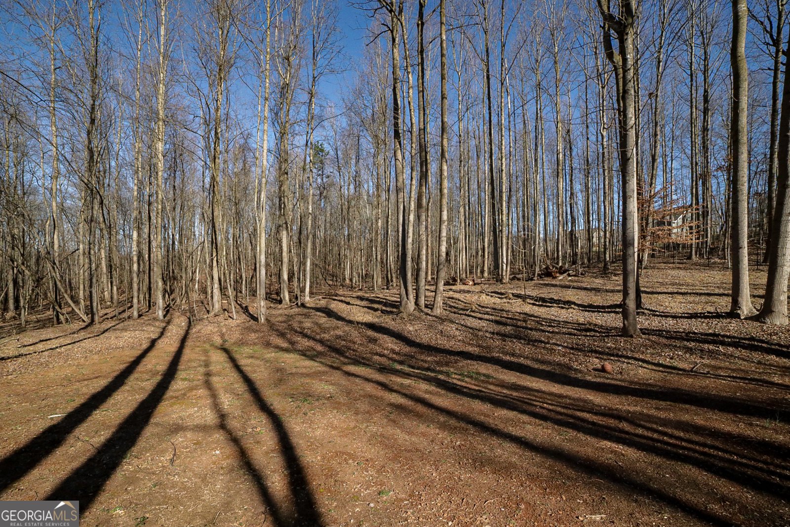 88 Fair Oaks Court Commerce - Photo 39