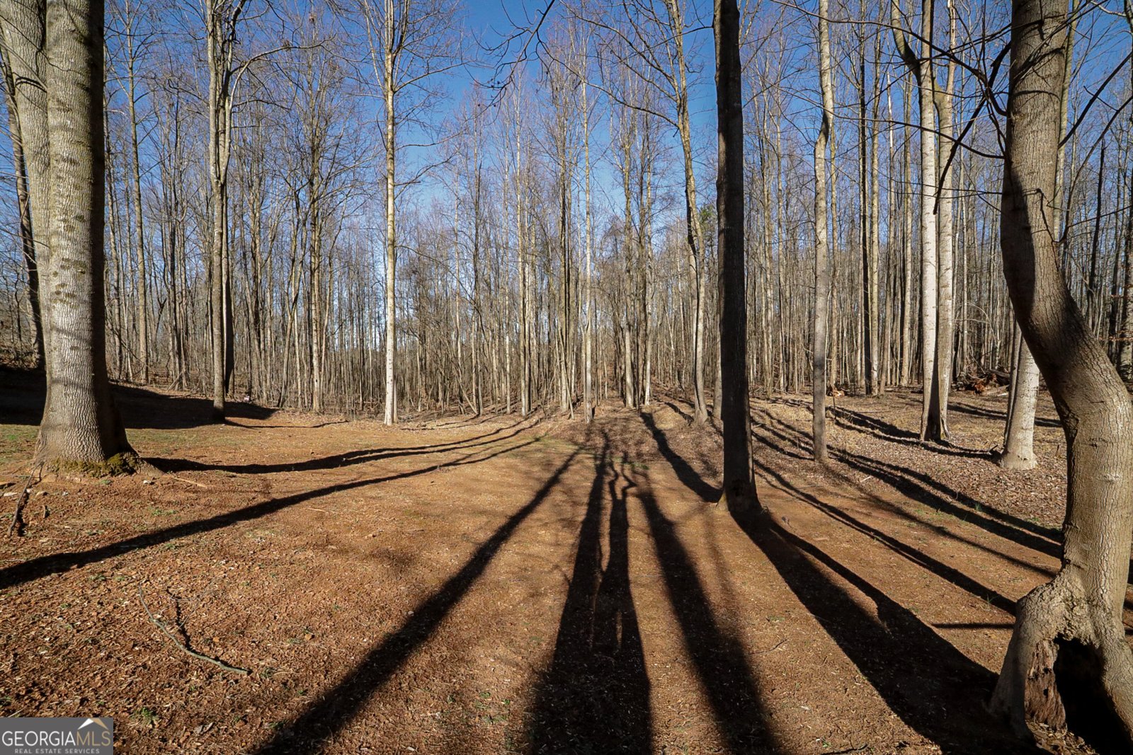 88 Fair Oaks Court Commerce - Photo 40