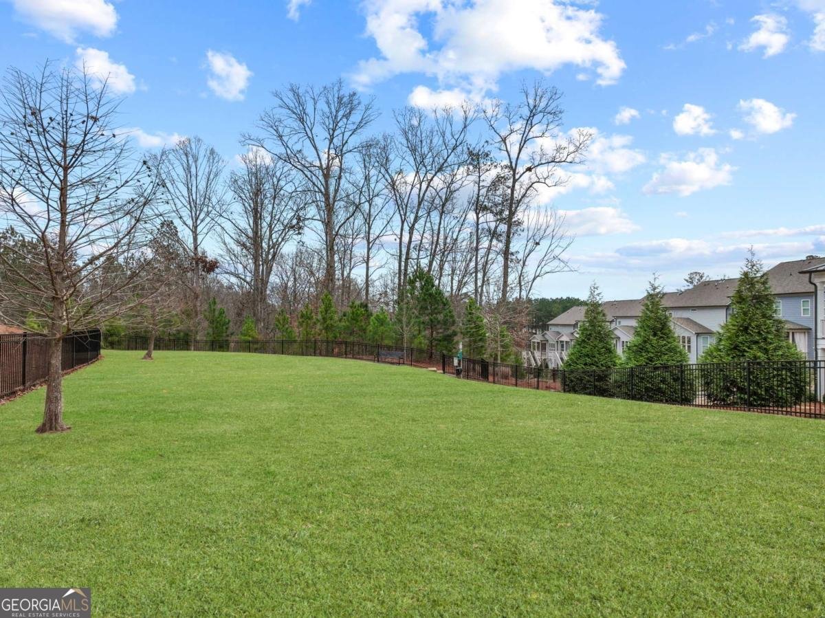 120 Meadow Mill Road Woodstock - Photo 49