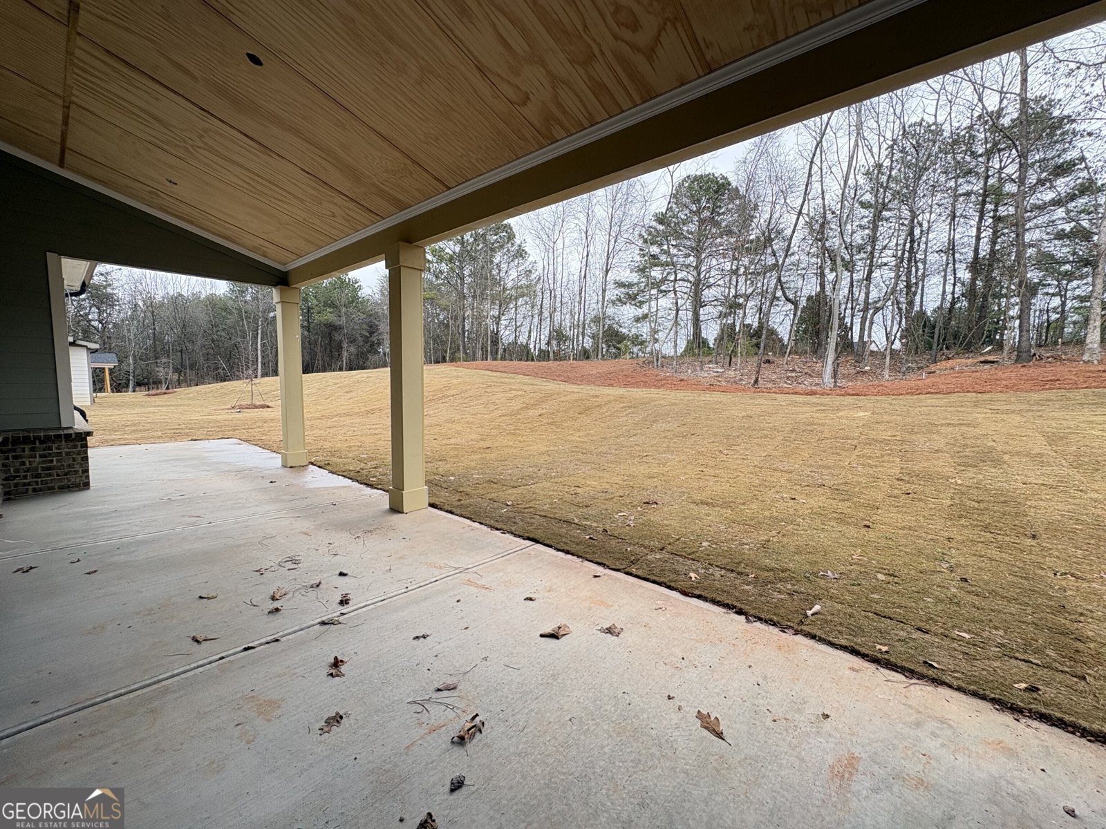 4510 Greyson Manor Drive Cumming - Photo 19