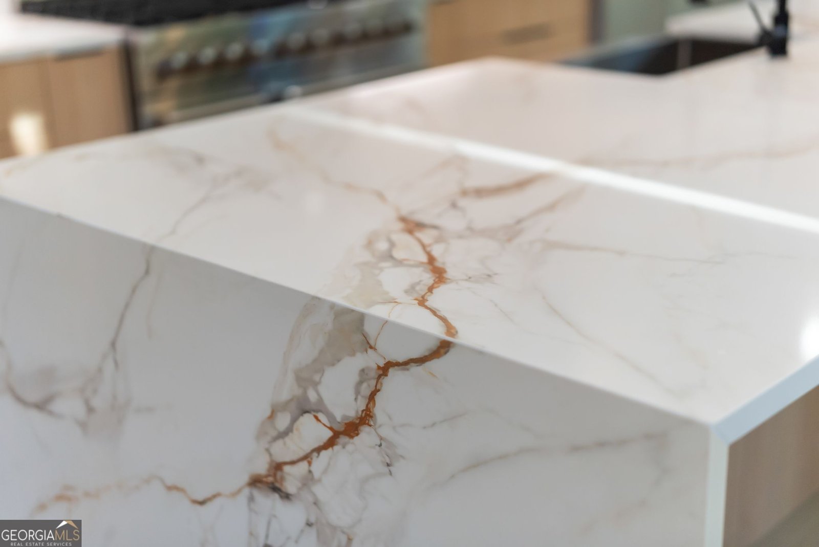 1680 Mineral Springs Road Hoschton - Photo 54